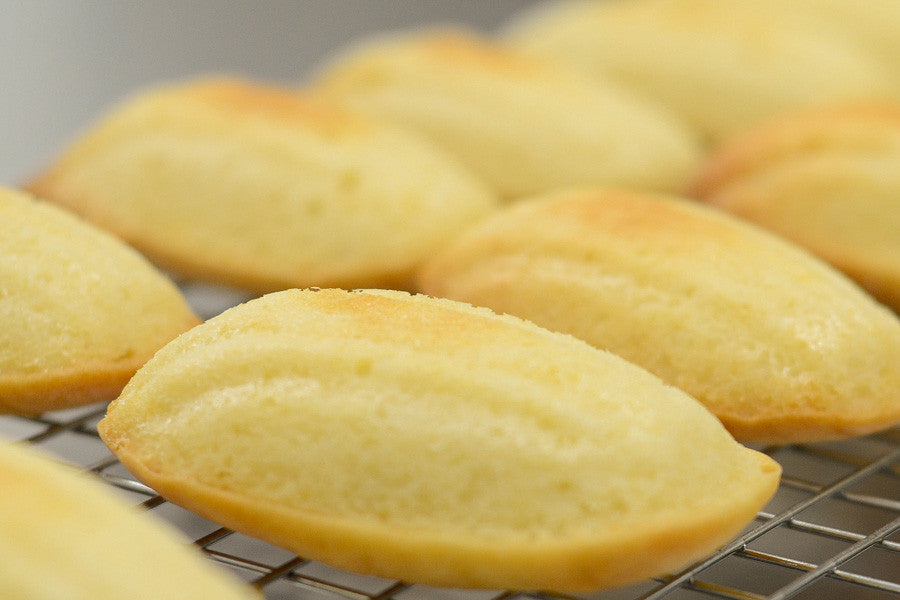 Madeleine Sans Gluten Gluten Free Madeleine